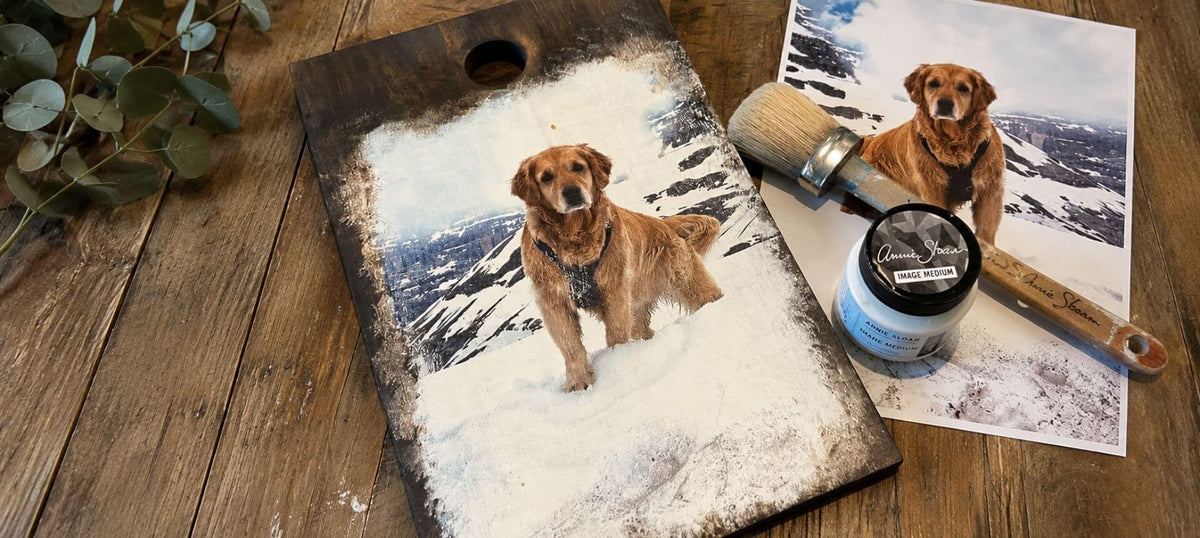 Fototransfer auf Holz