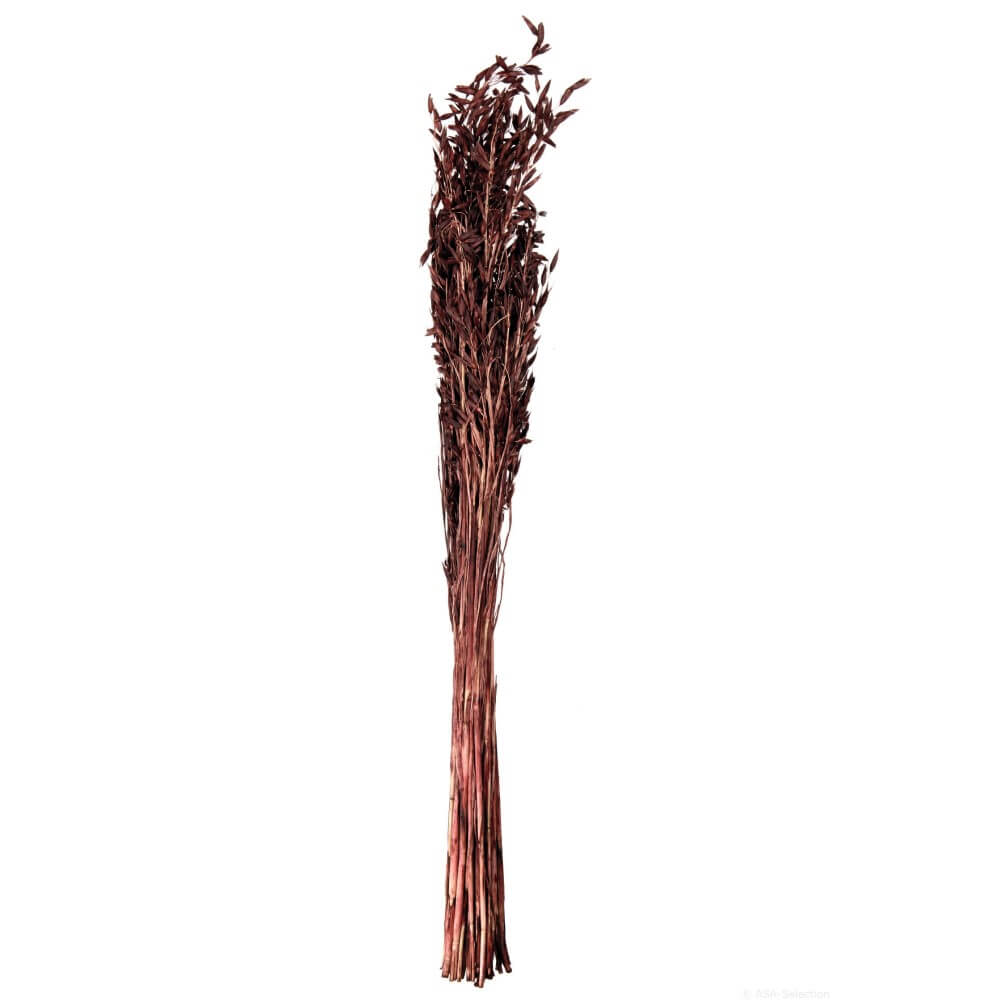 66313444-dried-flowers-lose