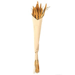66314444-dried-flowers