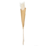 66317444-dried-flowers