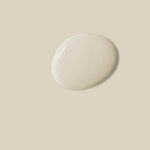 annie-sloan-satin-paint-canvas-tupfer