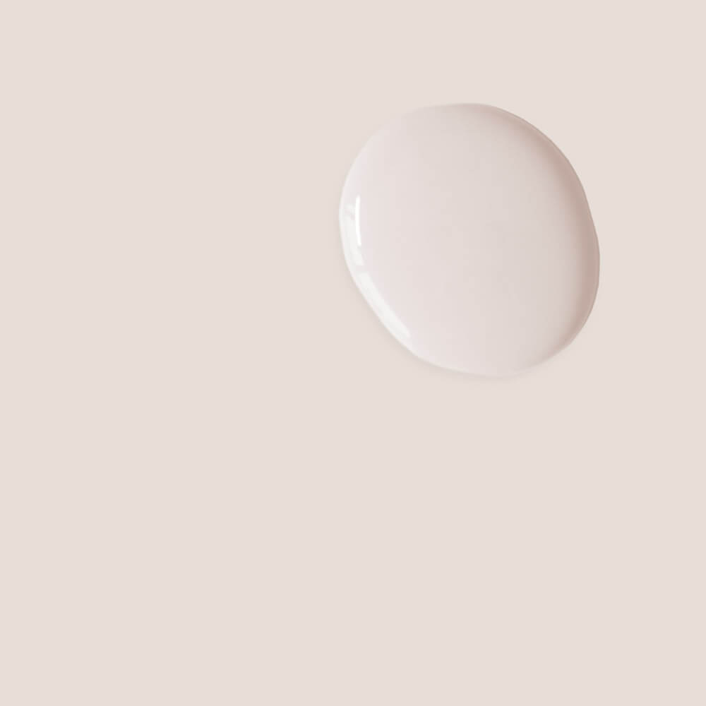 annie-sloan-satin-paint-pointe-silk-tupfer