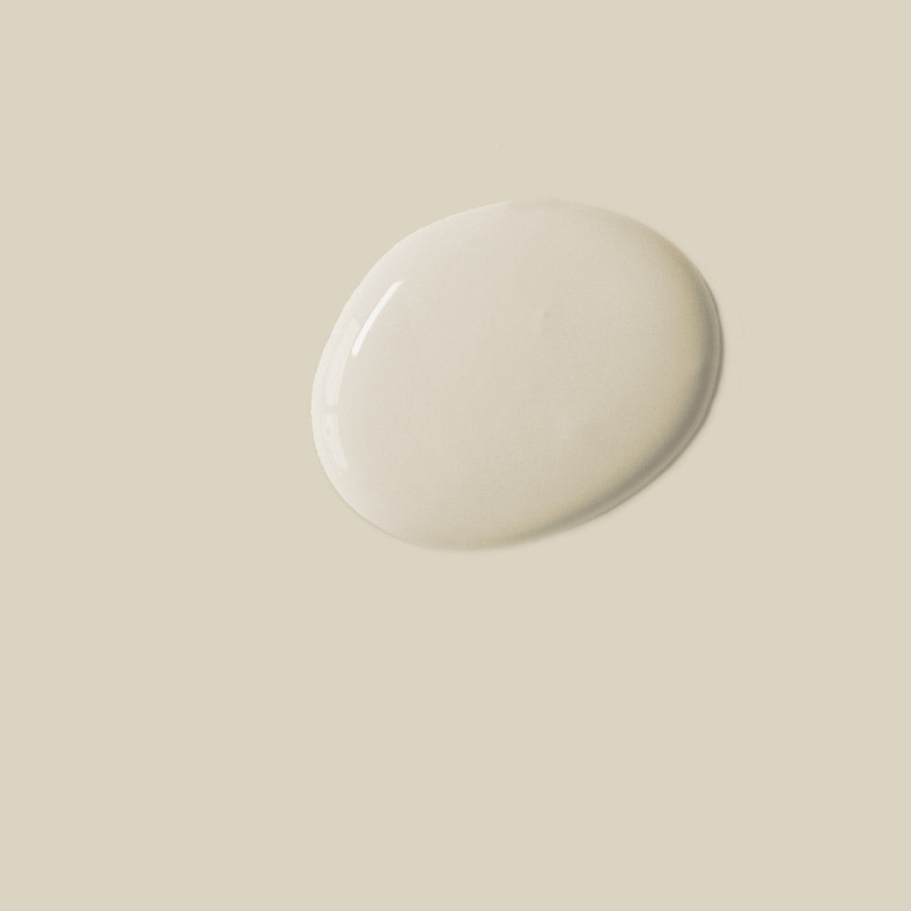 annie sloan wandfarbe canvas farbmuster