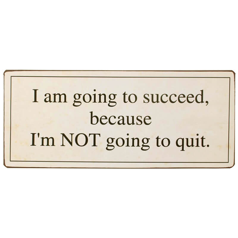 blechschild-succeed