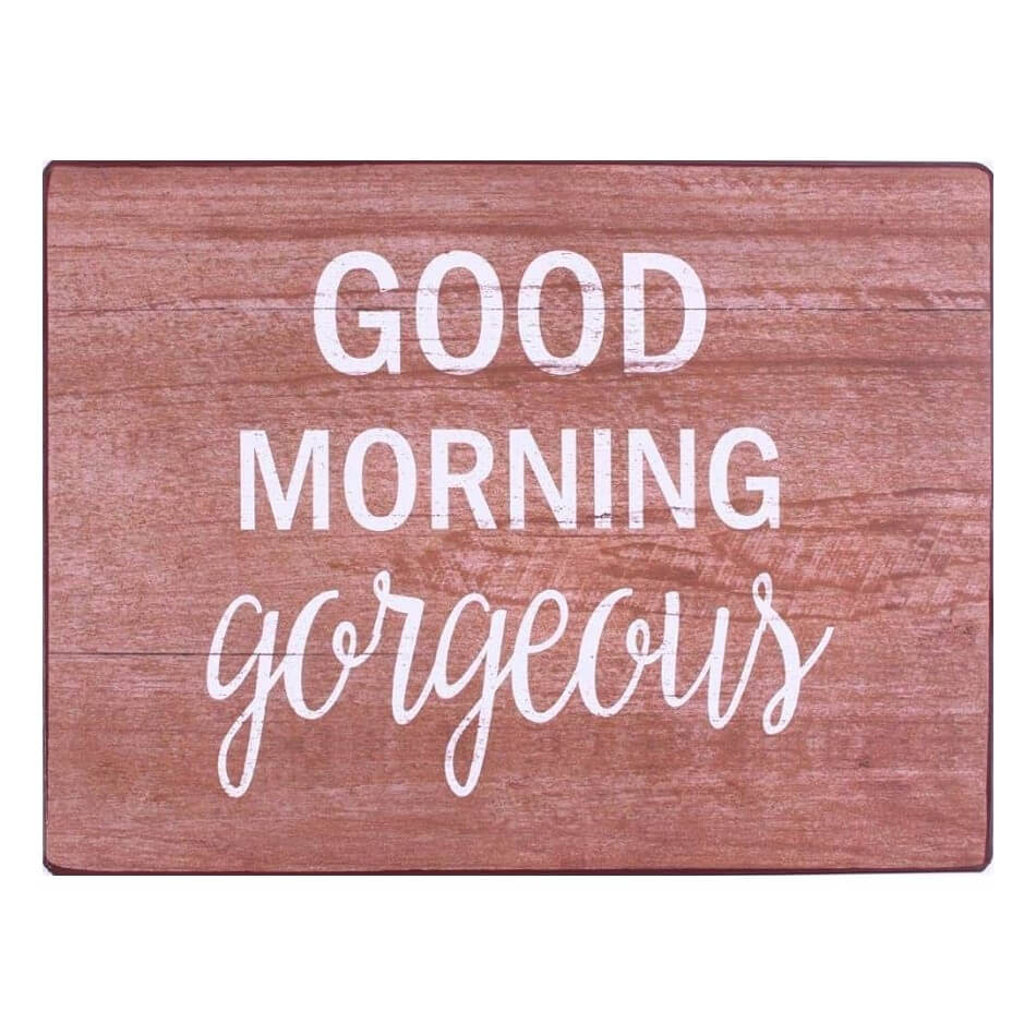 blechschild good morning gorgeous