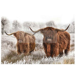 decoupage fiber papier highland harmony