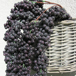 dekozweig-vittoria-blaubeere-beeren