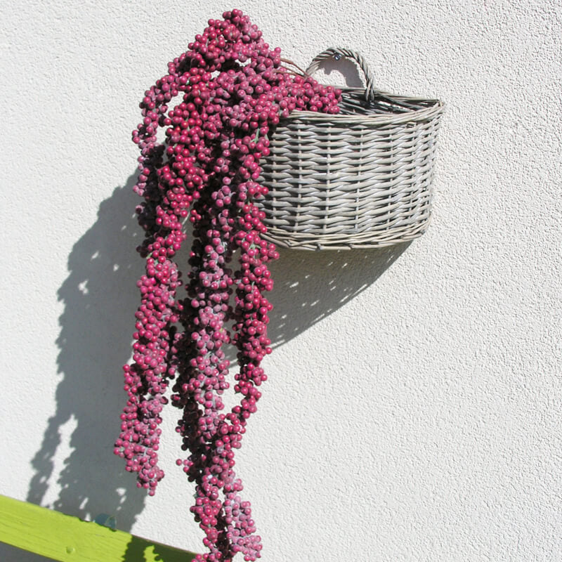 dekozweig-vittoria-rot