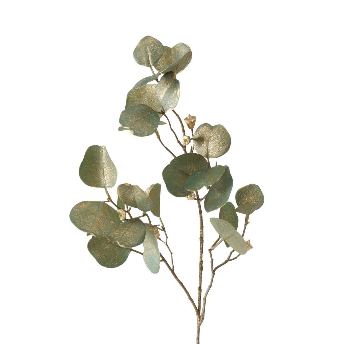 dekozweig eukalyptus