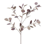 dekozweig eukalyptus burgund