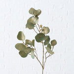 dekozweig eukalyptus mood_(1)