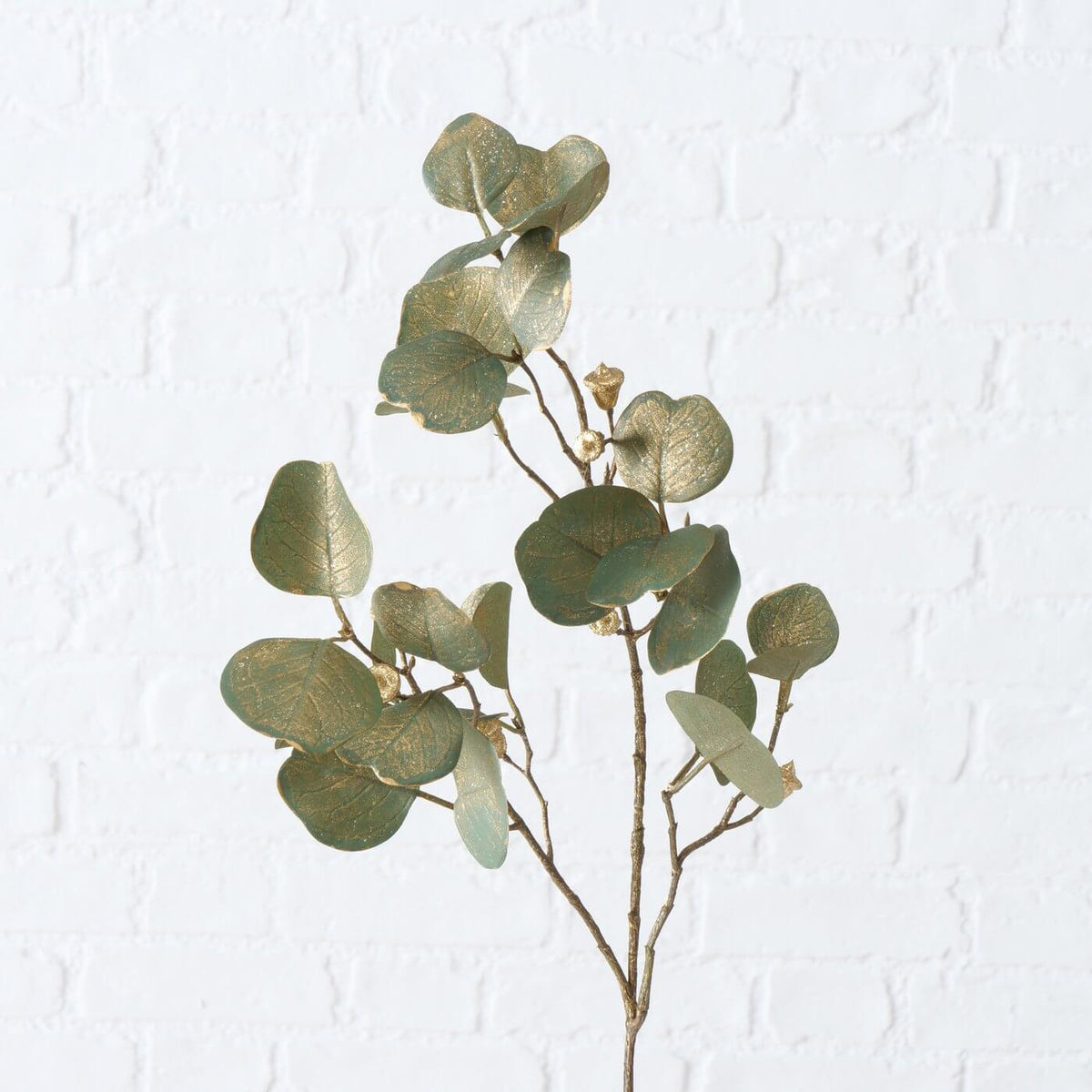 dekozweig eukalyptus mood_(1)