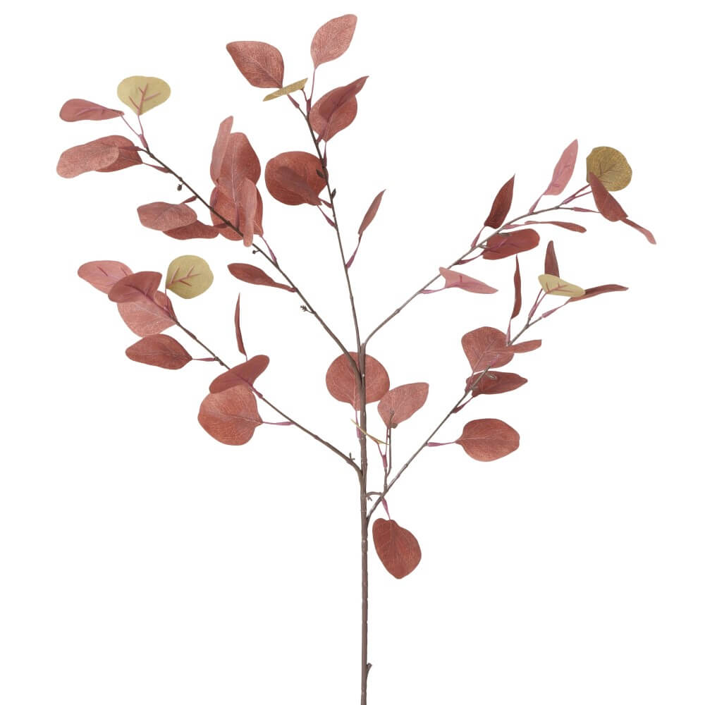 dekozweig eukalyptus rose