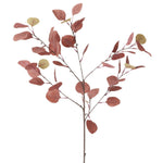 dekozweig eukalyptus rose