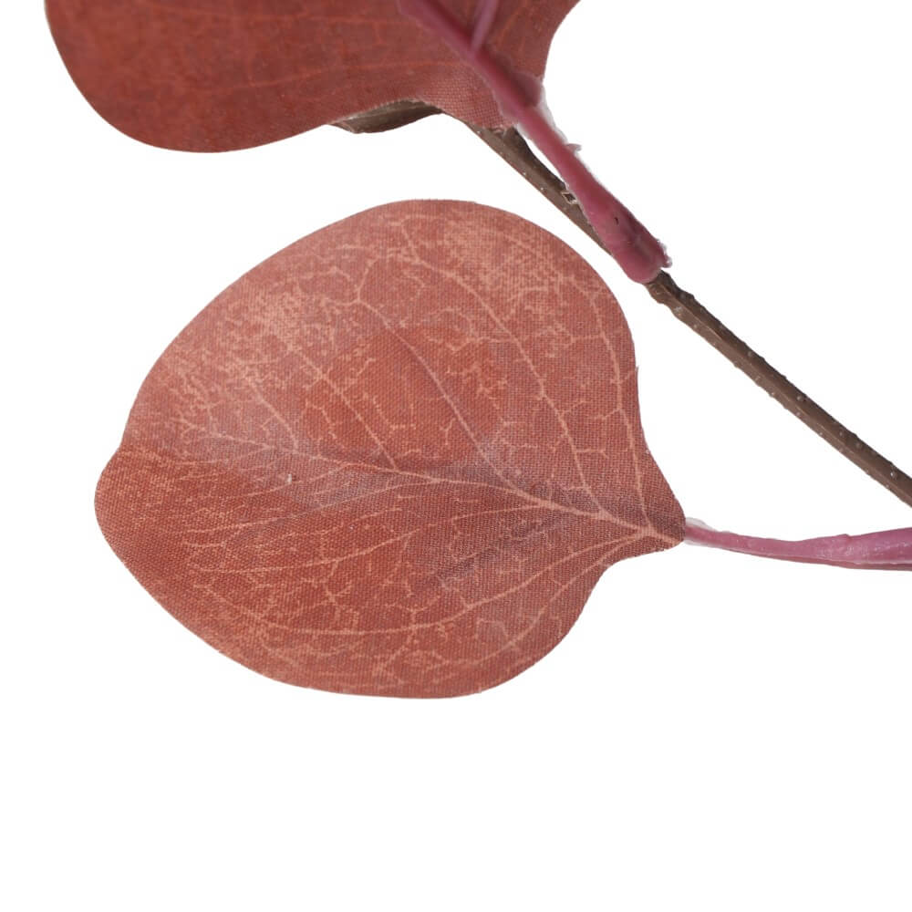 dekozweig eukalyptus rose detail