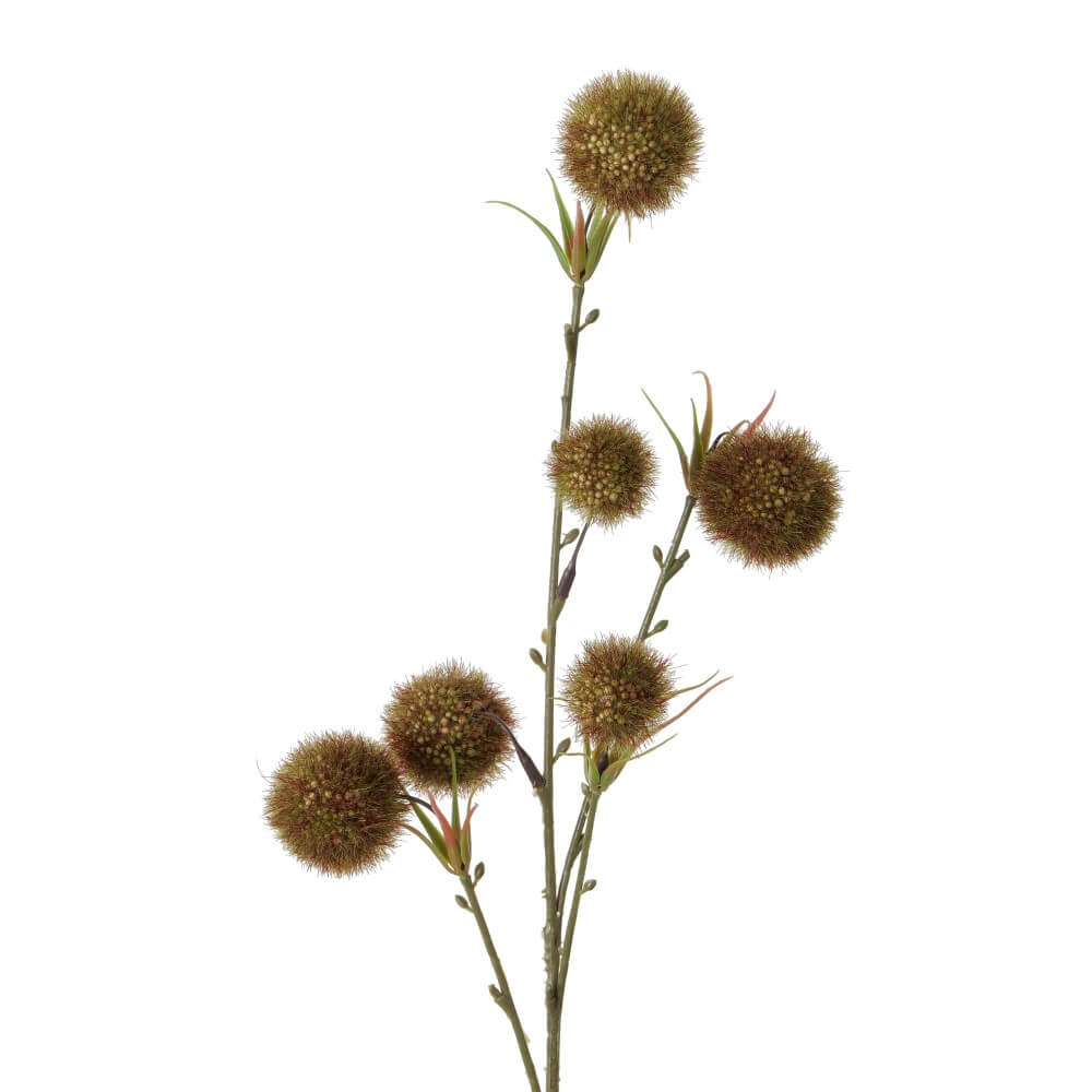 dekozweig tonnya allium grn