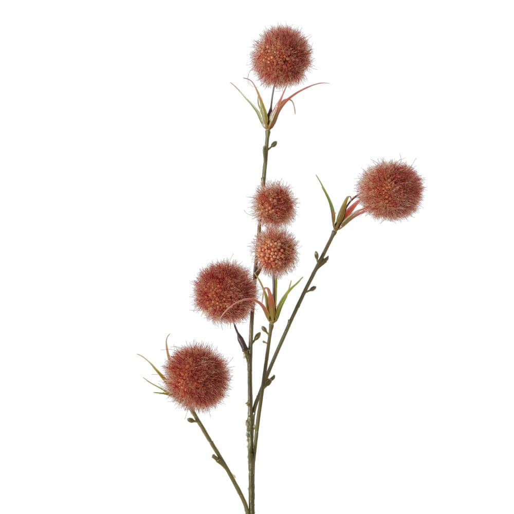 dekozweig tonnya allium orange