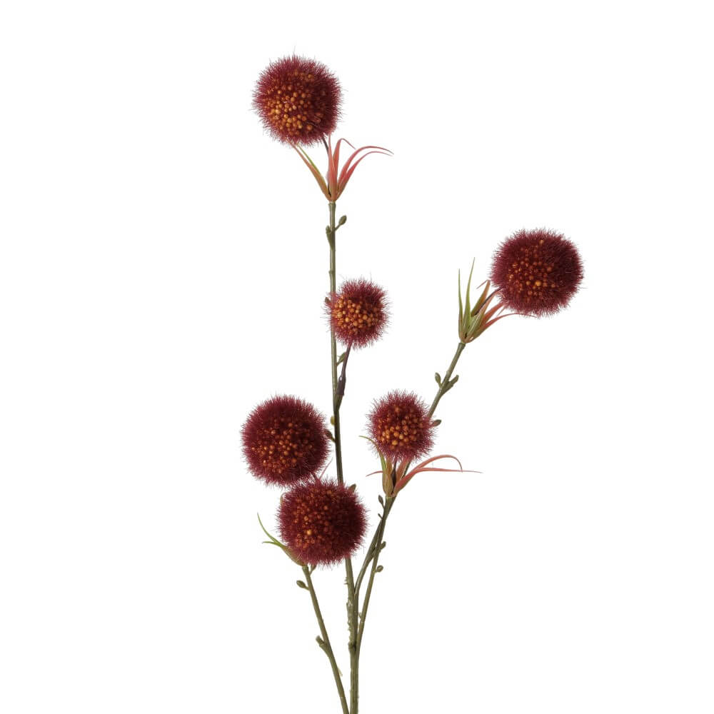 dekozweig tonnya allium rot
