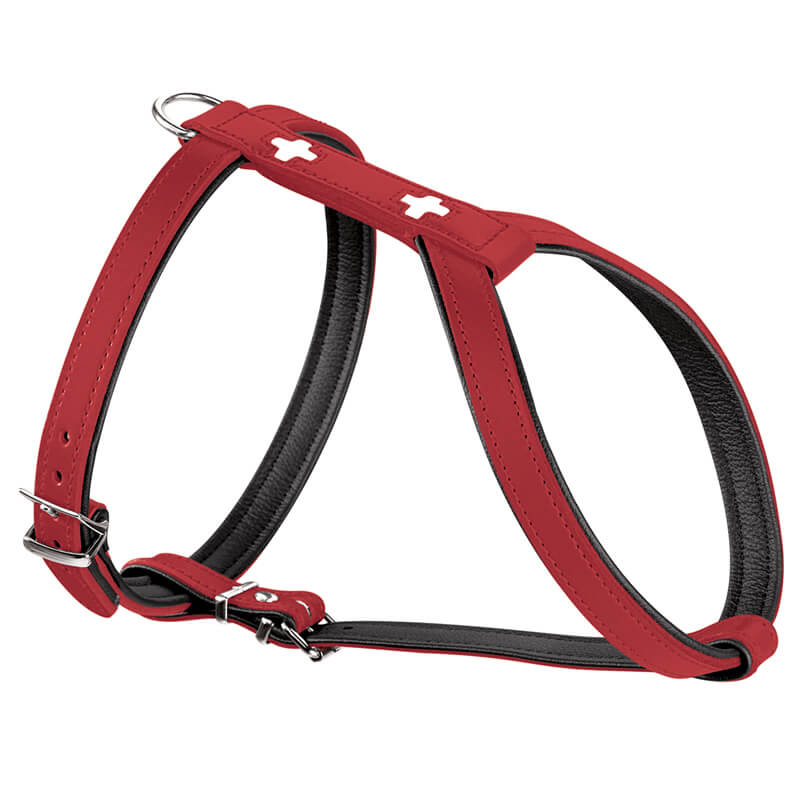 hundegeschirr-swiss