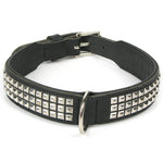 hundehalsband-rocky-iii