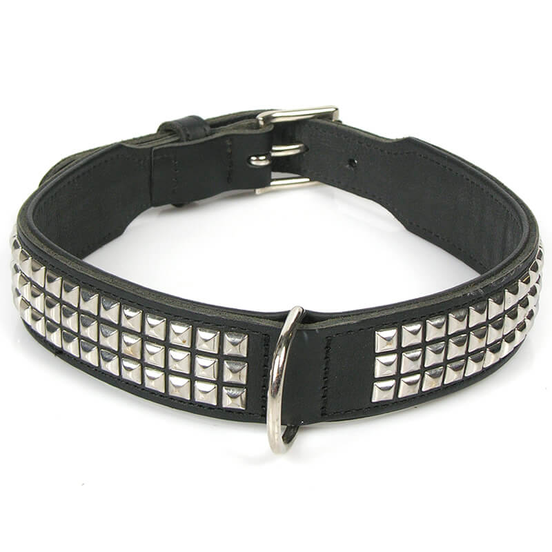 hundehalsband-rocky-iii
