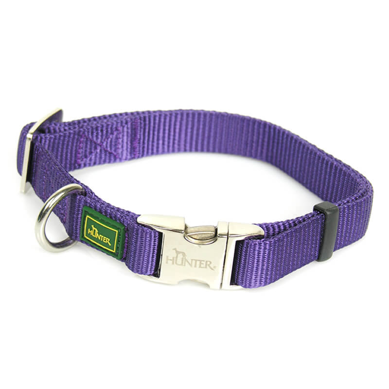hundehalsband-vario-basic-violett