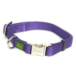 hundehalsband-vario-basic-violett