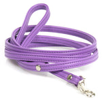 hundeleine-petit-violett
