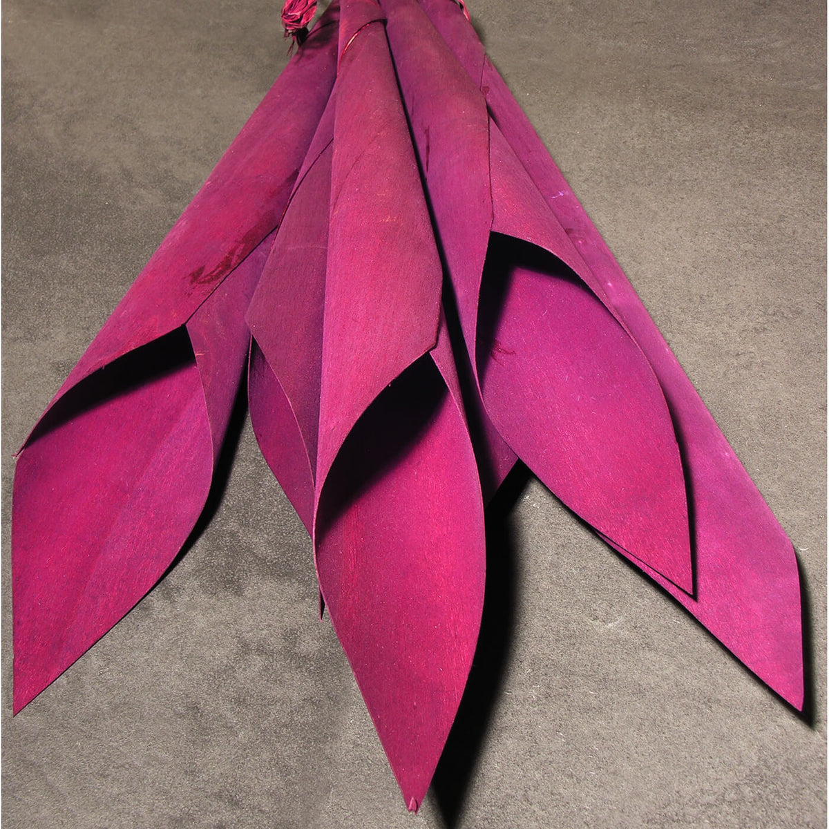 kala-bund-lila