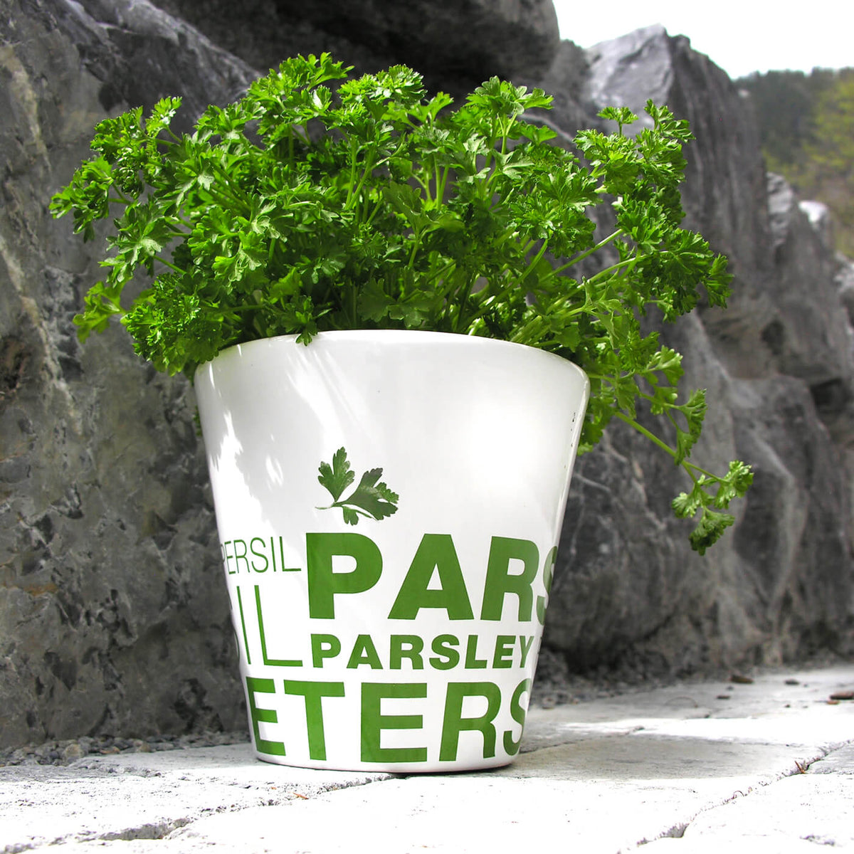 kraeutertopf-peterli-mood