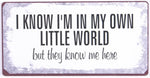 magnet-little-world