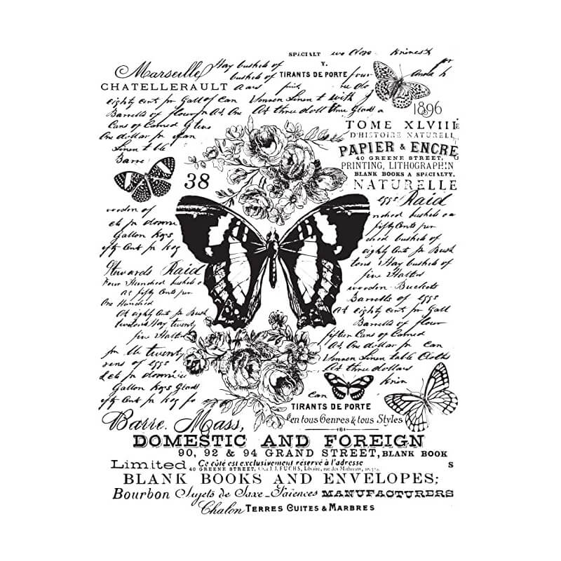 maisie-willow-transferfolie-butterfly-botanic