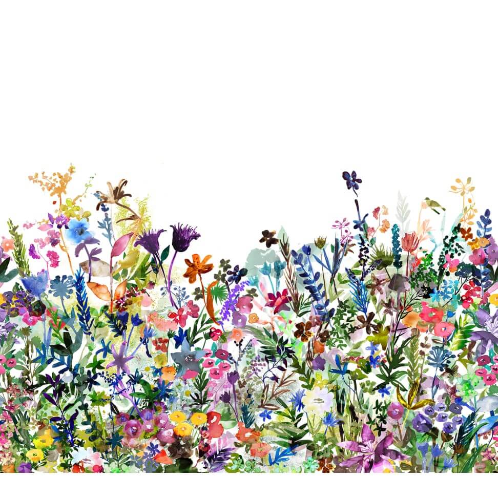 motivtapete-may-meadow-colourful