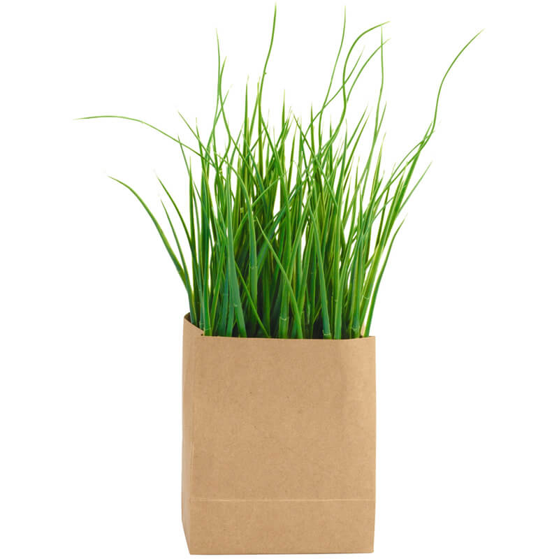papiertuete-mit-gras