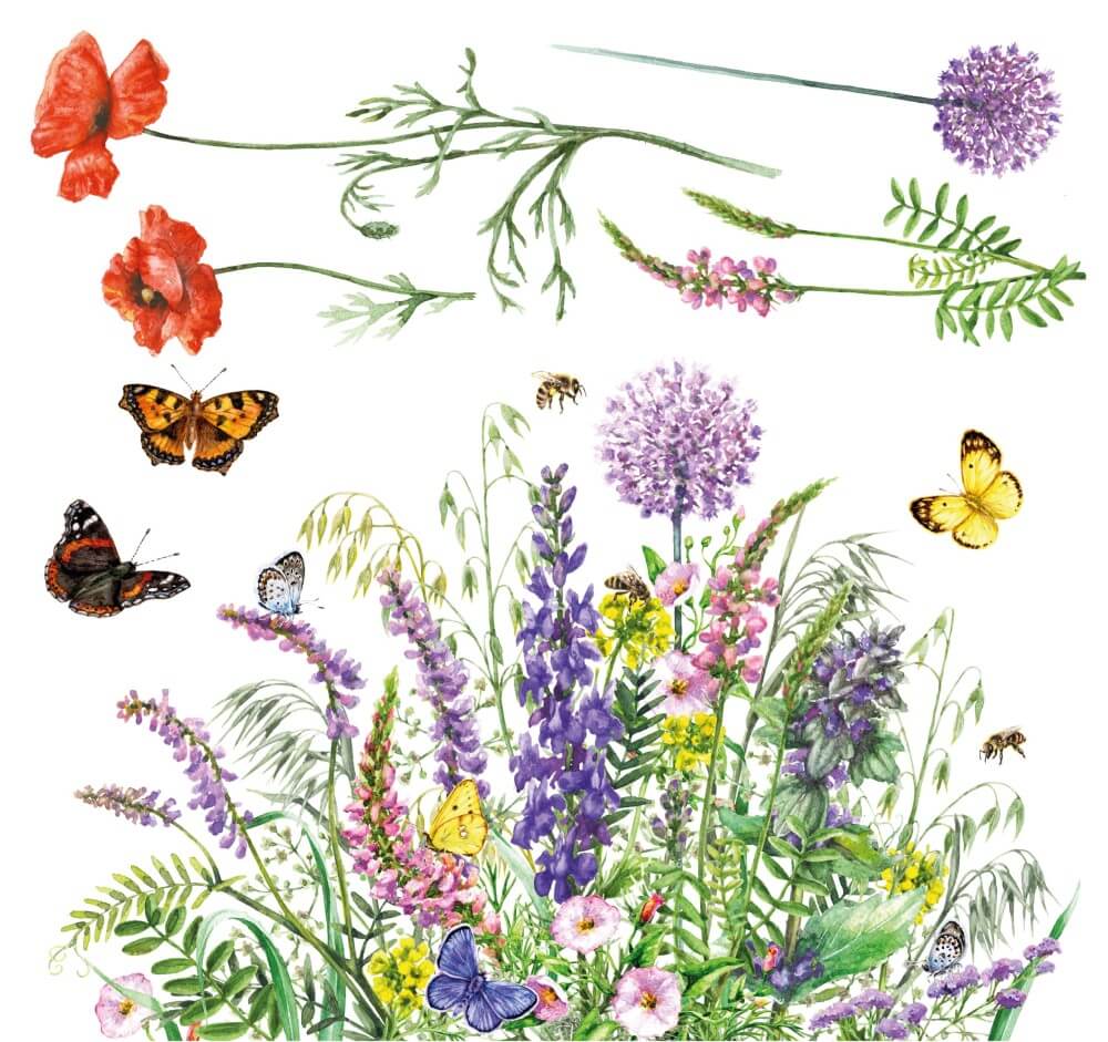 petite-transferfolie-botanical-folie1