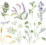 petite-transferfolie-botanical-folie2
