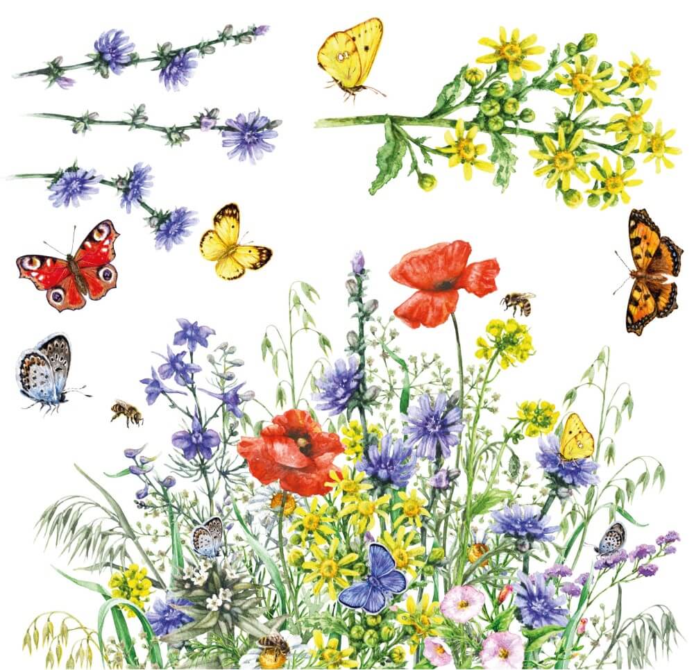 petite-transferfolie-botanical-folie3
