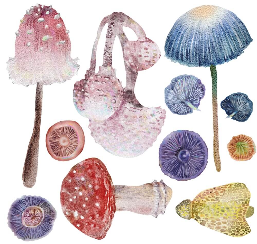 petite-transferfolie-magic-mushrooms-folie1