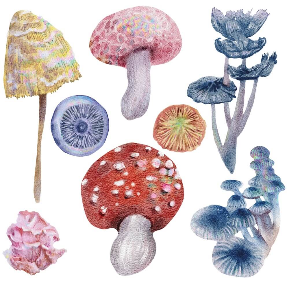 petite-transferfolie-magic-mushrooms-folie2