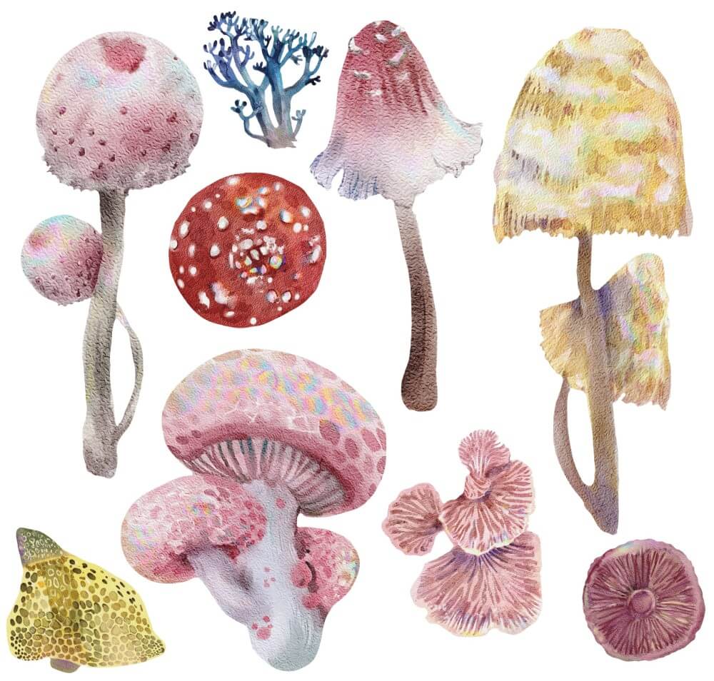 petite-transferfolie-magic-mushrooms-folie3