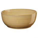 poke-bowl-ginger