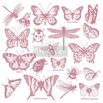 redesign-stempel-monarch-collection
