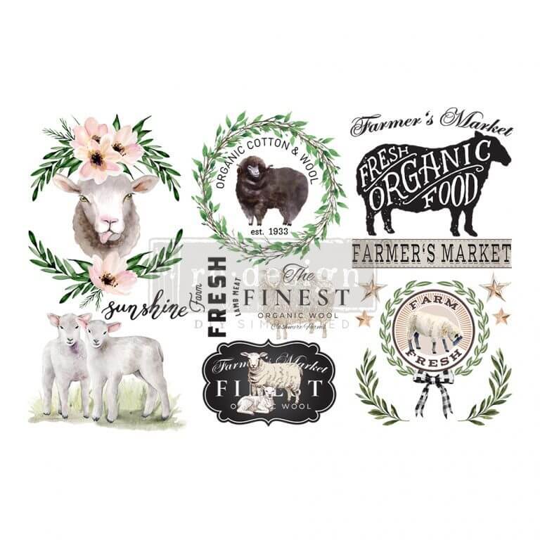 redesign-transfer-sweet-lamb