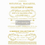 redesign-transferfolie-flower-collector