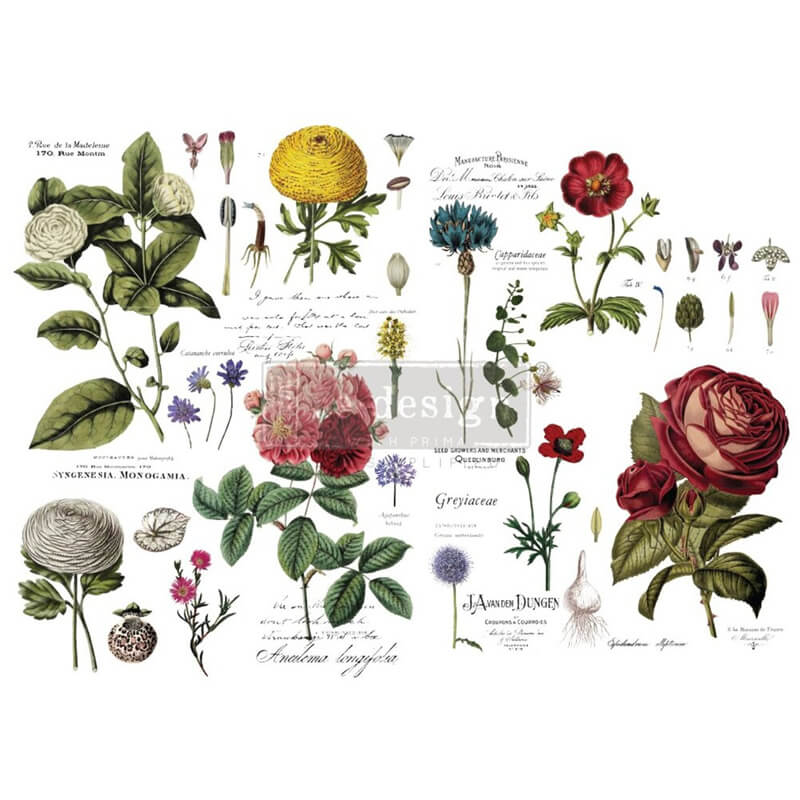 redesign-transferfolie-vintage-botanical