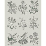 rhs-decoupage-papier-botanical