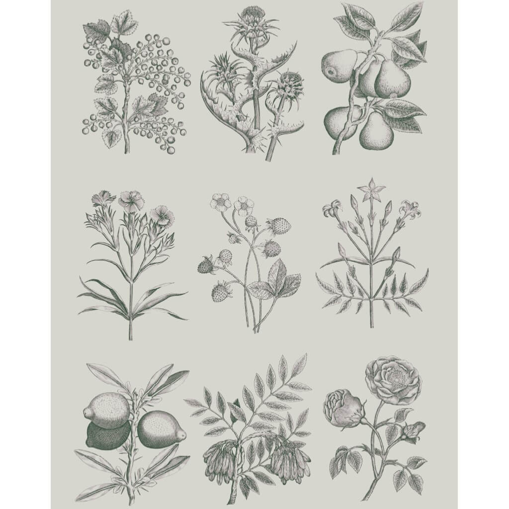 rhs-decoupage-papier-botanical