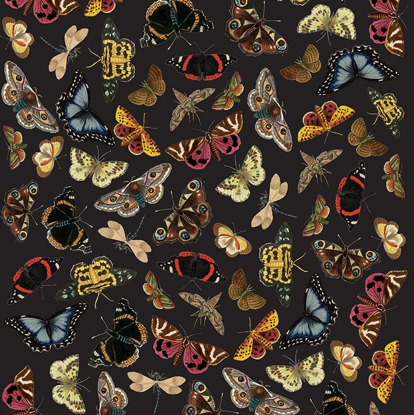 rhs-decoupage-papier-winged-wildlife