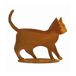 rosteisen katzenbaby tom hd
