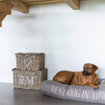 rustic-rattan-classic-korb-set-mood-hund